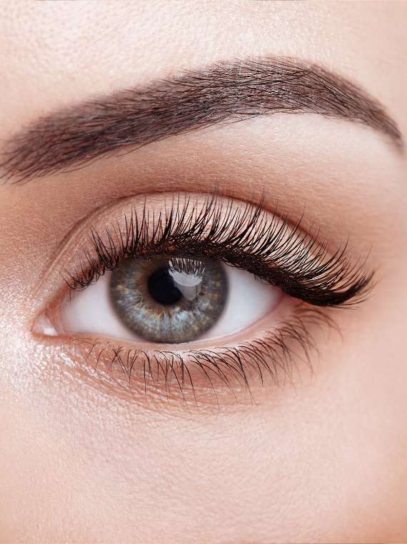 BEAUTÉ DES YEUX ET DU VISAGE